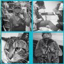 Hello Kitties: Miranda Lambert and Boyfriend Anderson East Adopt Three Cats