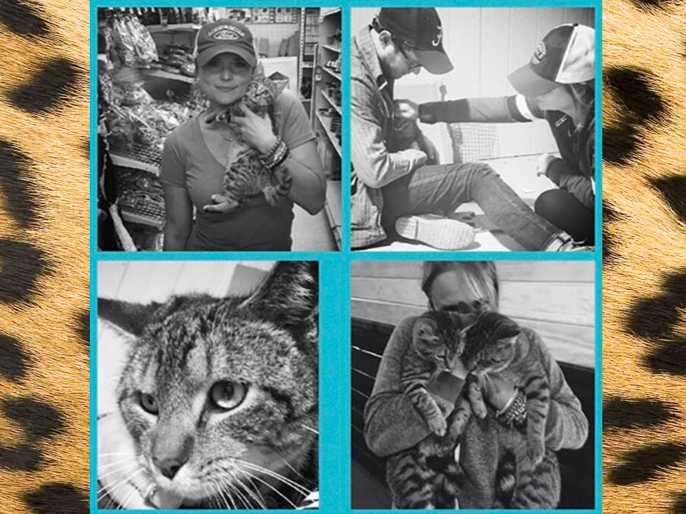 Hello Kitties: Miranda Lambert and Boyfriend Anderson East Adopt Three Cats